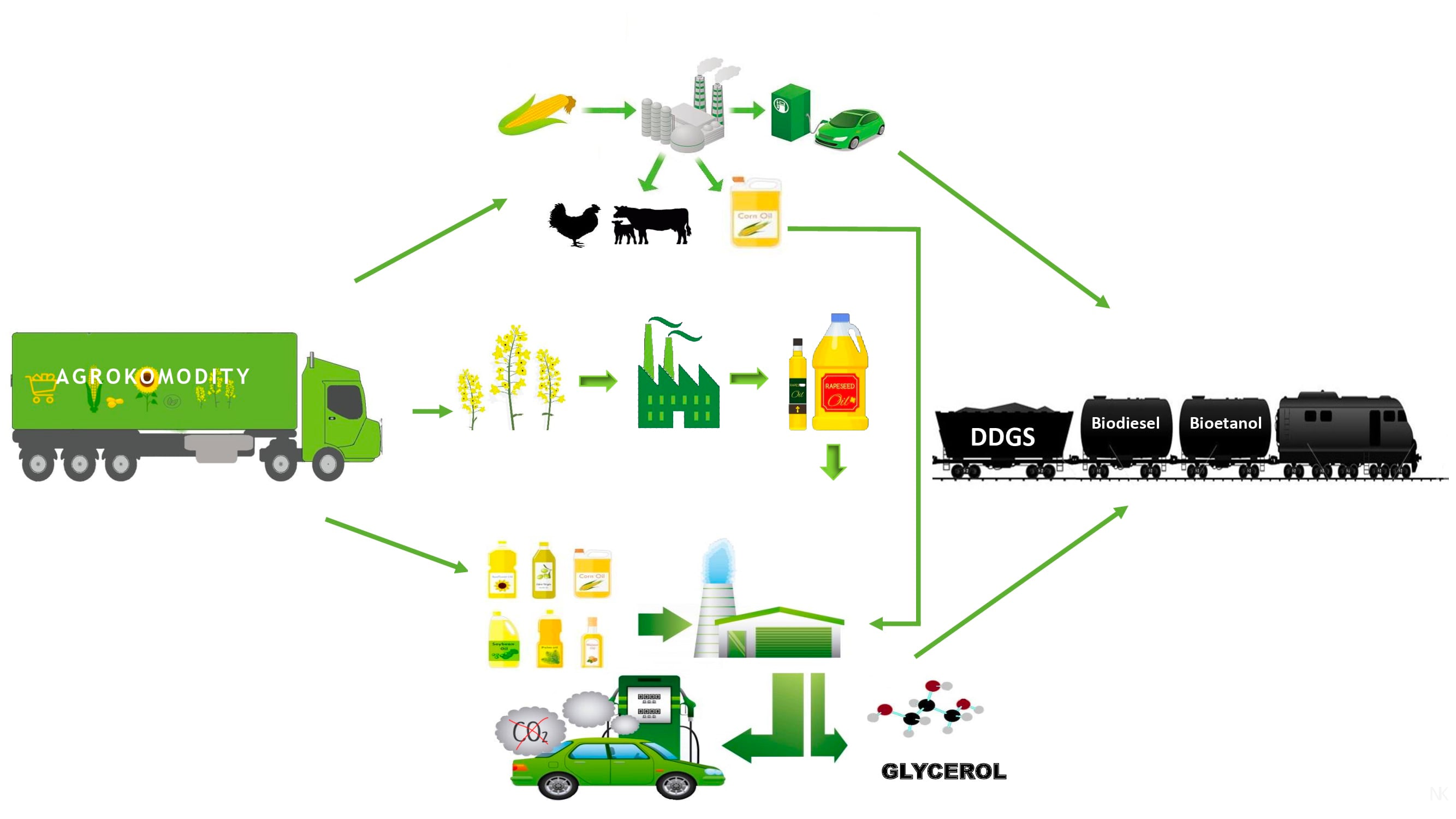 Proces výroby biopalív